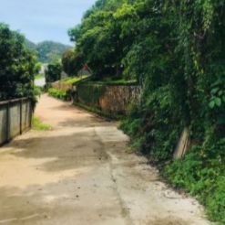 ban dat dep hem oto tran phu view bien bai dau 29x36   gan ganh hao    15 ty