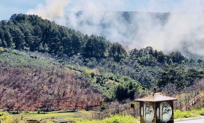 dat xuan truong da lat shr dat nong nghiep chuyen doi