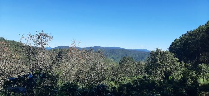 can ban gap lo dat 3700 m2 dat vuon hong