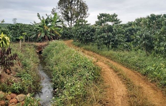 ban 8 sao 70m mt hem oto nguyen thai binh co ao suoi chay quanh vuon  gia 36 ty