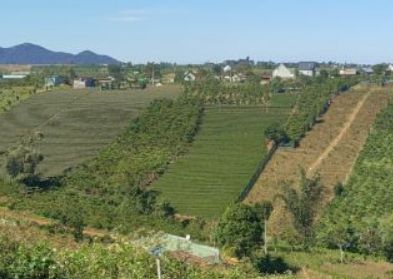 ban 43 sao doi dien kiwuki loc tan giap suoi 400m tc duong oto