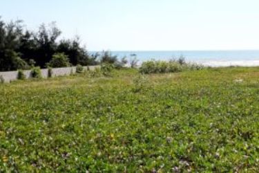 ban dat bien du lich gia re gan novaland tp  phan thiet