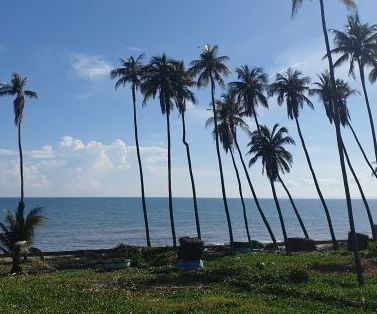ban 751m2 tho cu mat tien huynh thuc khang ham tien