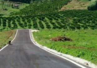 ban dat nen tho cu mat tien duong ly thai to thanh pho bao loc gia 500tr 200m2