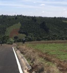 ban gap dat ngay doi che tam chau