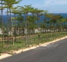 can ban gap lo dat mt huynh thuc khang   view bien mui ne  gia 1ty2 nen  tho cu co so