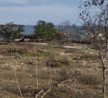 ban 1800m2 dat mat pho nguyen dinh chieu dau khu pho 1 ham tien phan thiet