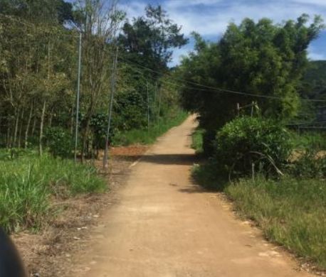 ban tho cu 230 trieu  sao loc thanh bao lam  mat tien duong lon co ho tu nhien