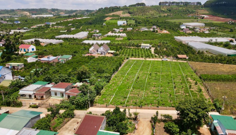 thanh li lo dat cuoi cung me linh quy hoach tp da lat chi 860 trieu